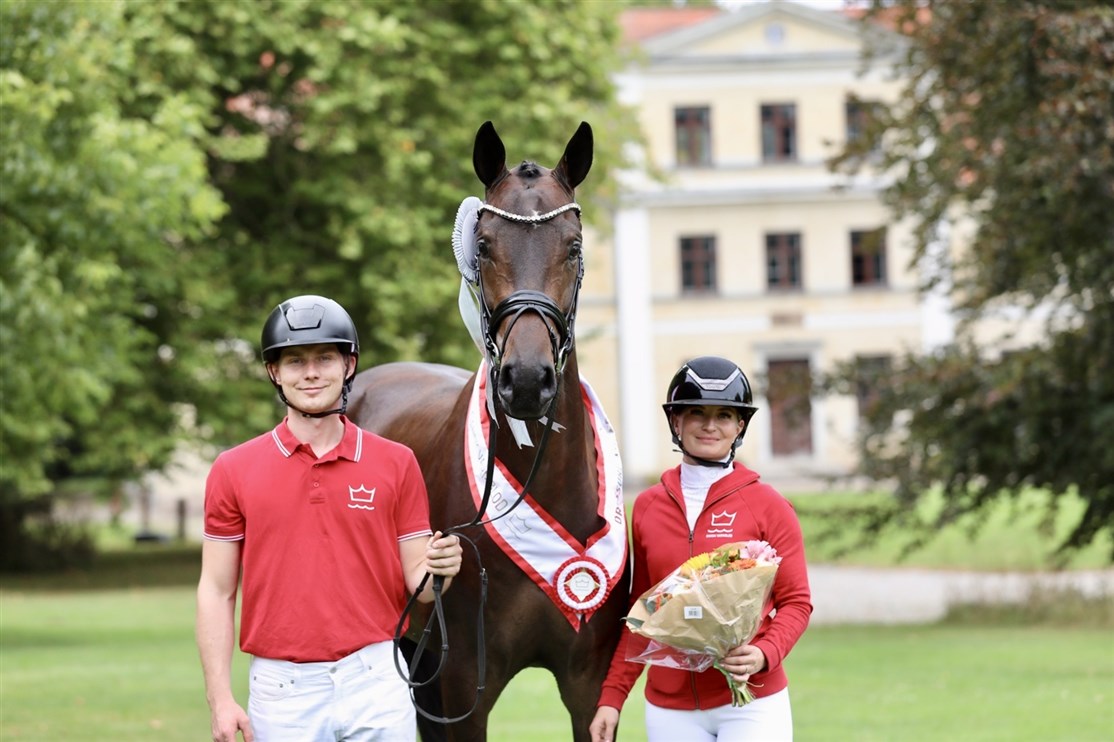 <center><small><b>Årets Vallak i Dansk Varmblod 2025</small></b>
<i><small><small><small>Petersborg's Bossanova</i></center></small></small></small>