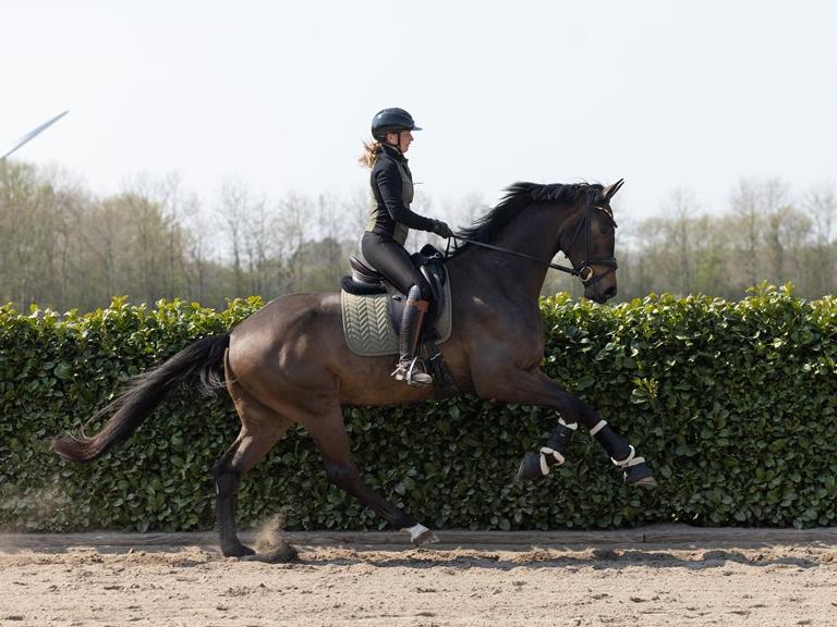 TILRIDNING, VIDEREUDDANNELSE OG SALG